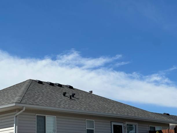 Best Roof Waterproofing  in Middleport, NY